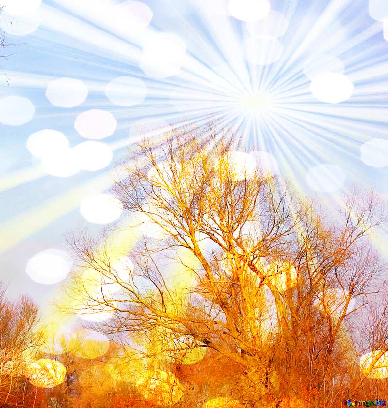 Landscape autumn nature sunlight rays sky №38617