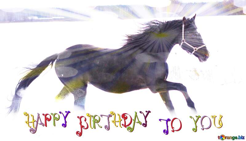 Horse and snow happy birthday card №18190