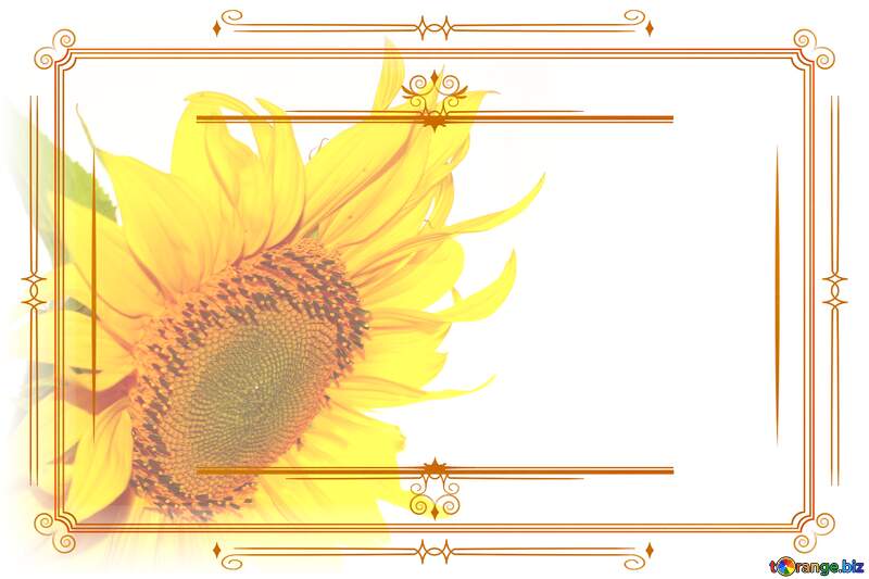 Flower Frame Lines Retro №32774