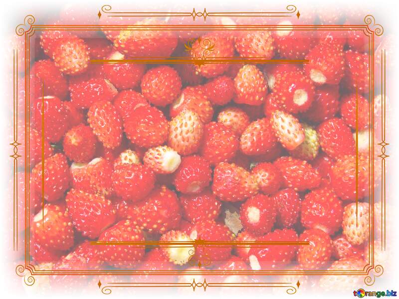 Strawberry Frame Vintage Lines Retro №28995