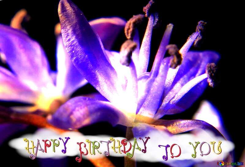 Blue flower happy birthday card №39009