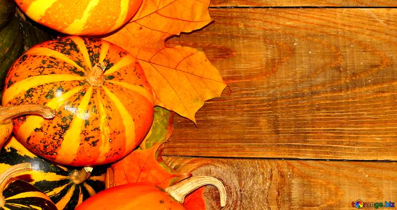 Autumn wooden background with pumpkins side №35230