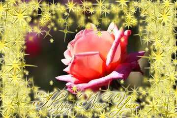 FX №211146 Pink rose Frame Happy New Year 3d gold stars
