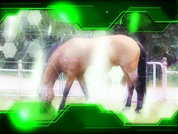 FX №211852 horse in nature Illustration Hi-tech Concept green