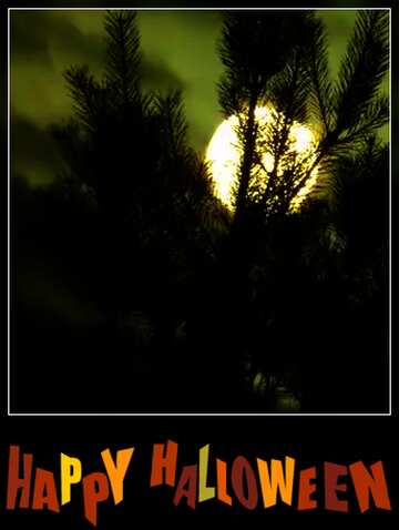 FX №211121 Scary moon frame happy halloween blank card