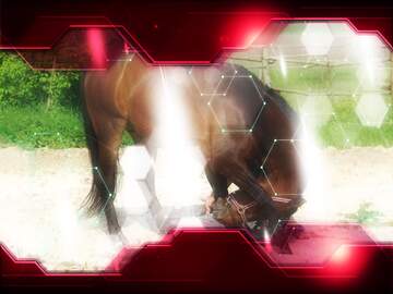 FX №211803 Horse training Technology business concept Hi-tech Elements red background