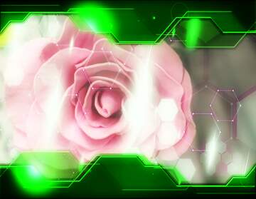 FX №211901 Beauty Rose Hi-tech Green Illustration