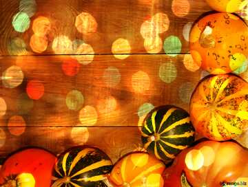 FX №211201 Autumn bokeh background with pumpkins