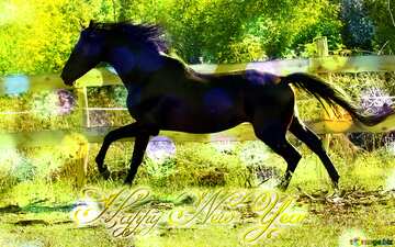 FX №211268 Black horse Happy New Year 3d gold