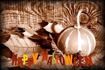 FX №211182 Beautiful picture with pumpkin and autumn leaves sepia toned dark frame happy halloween