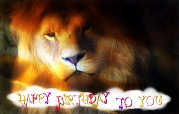 FX №211007 A lion happy birthday card
