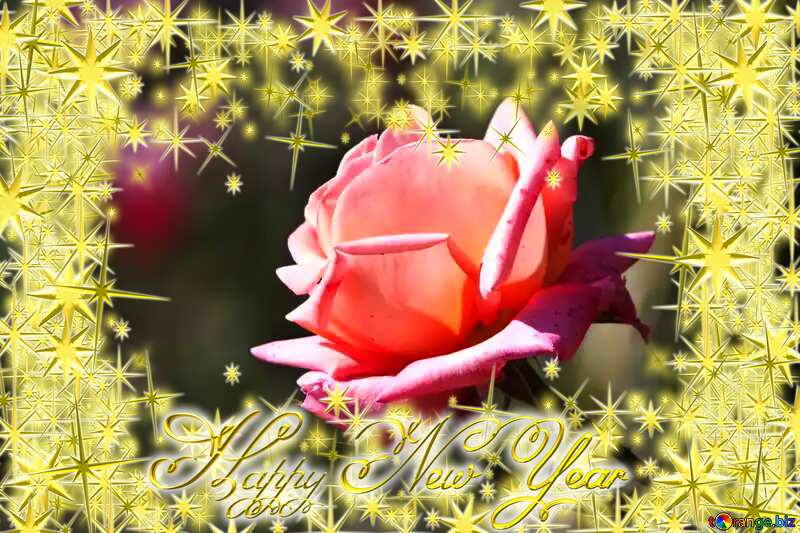 Pink rose Frame Happy New Year 3d gold stars №4210