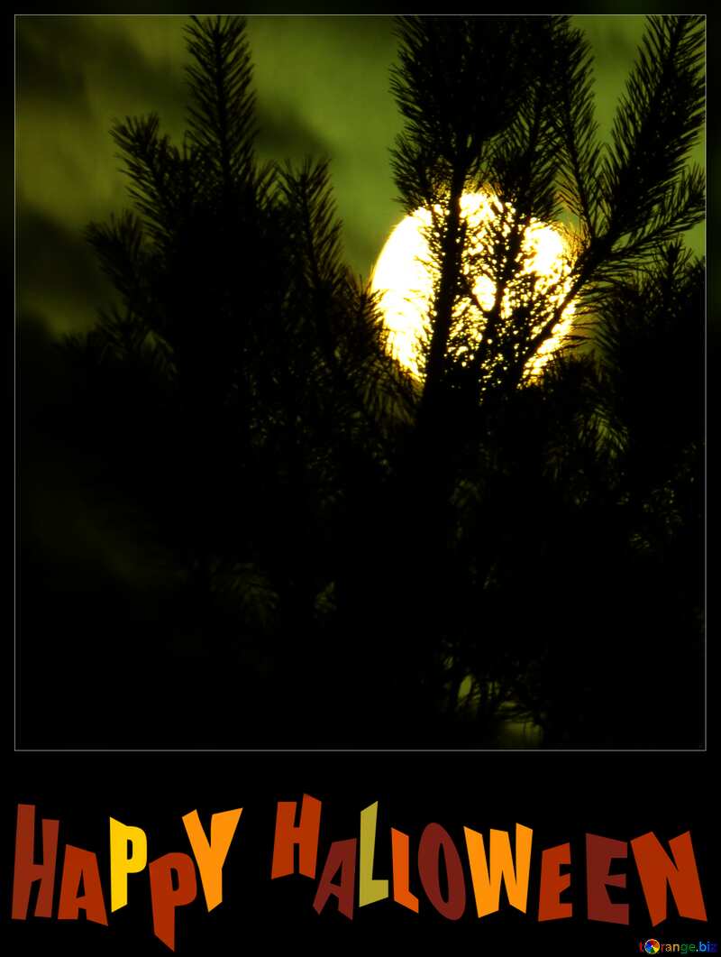 Scary moon frame happy halloween blank card №24182