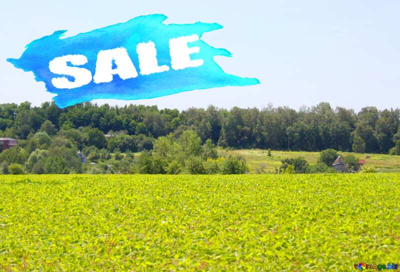 Ukrainian land sale №20306