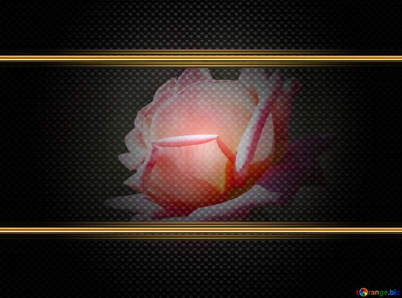 Pink rose carbon gold frame №4210