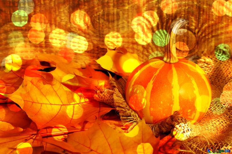 Beautiful picture with pumpkin and autumn leaves bokeh  background №35453
