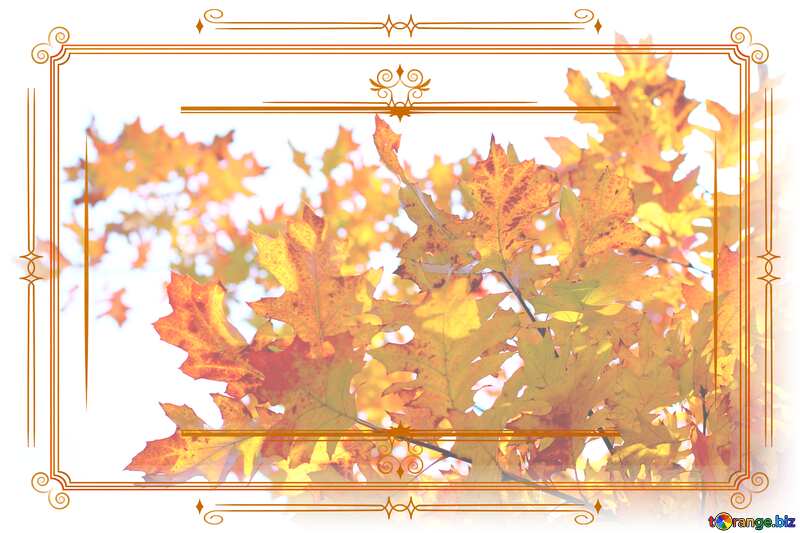 Autumn leaves  Vintage frame retro clipart №38539