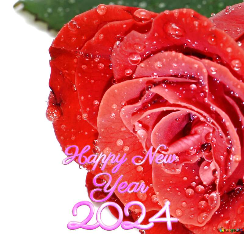 Rose happy new year 2024 fragment №16882