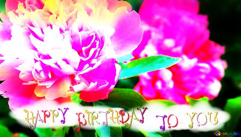 Flowers of peonies happy birthday card №32639