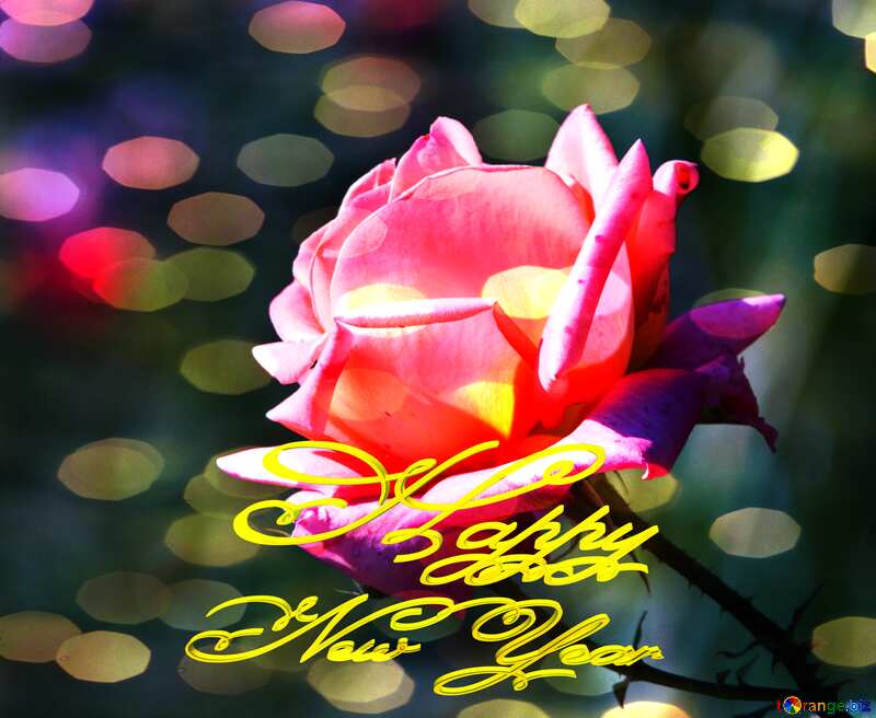Pink rose Happy New Year 3d gold text №4210