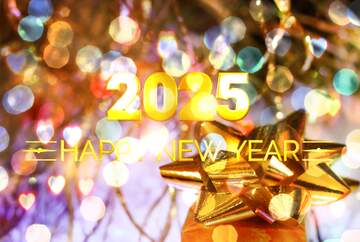 FX №212421 New Year Gift 2025