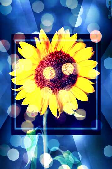 FX №212886 Sunflower design bokeh  background template