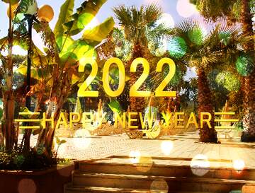 FX №212652 Palms Happy New Year 2022 Card Background