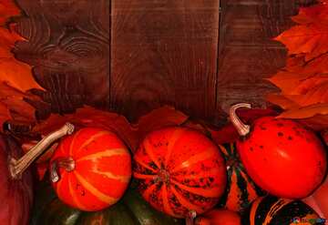 FX №212217 Autumn background with pumpkins dark red