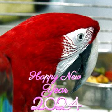 FX №212039 Home red parrot  Macaw happy new year 2024