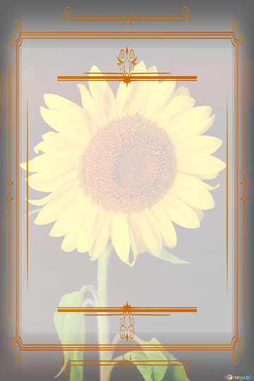 FX №212883 Sunflower flower  Vintage frame retro clip art