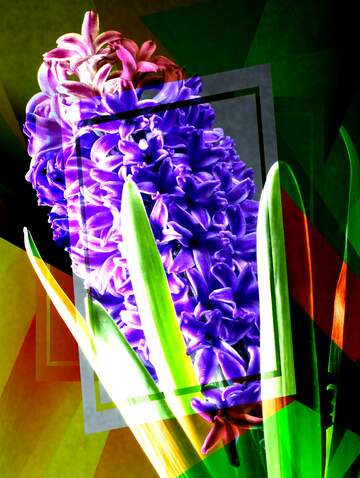 FX №212825 Flower hyacinths creative abstract geometrical future template