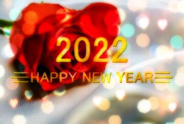FX №212571 Red flower rose Happy New Year 2022