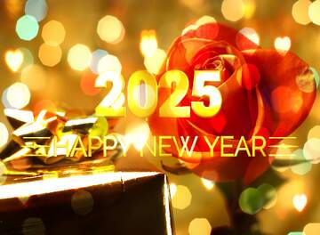 FX №212569 Gift woman Happy New Year 2025