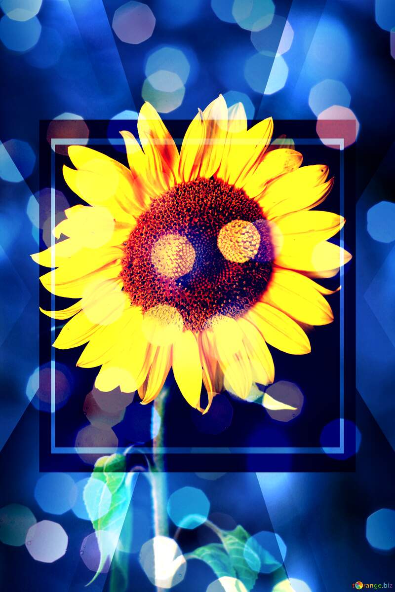 Sunflower design bokeh  background template №32797