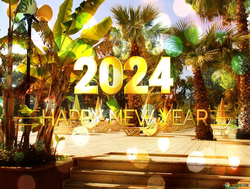 Palms Happy New Year 2024 Card Background №8490