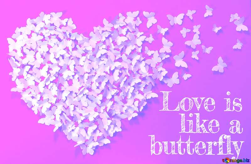 Love is like a butterfly pink №49682