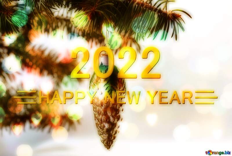 Cone at Christmas tree Happy New Year 2022 №6761