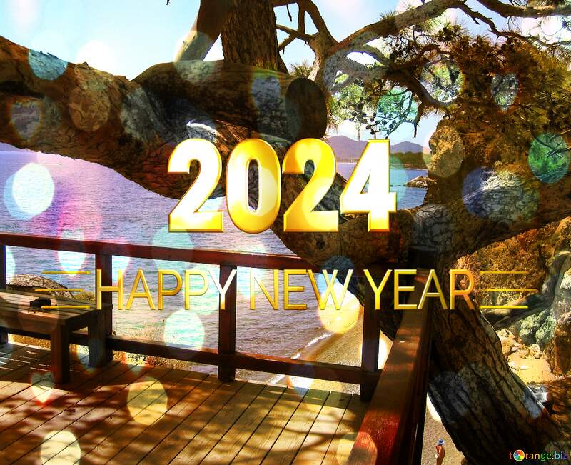 South Sea Winter Happy New Year 2024 №8458