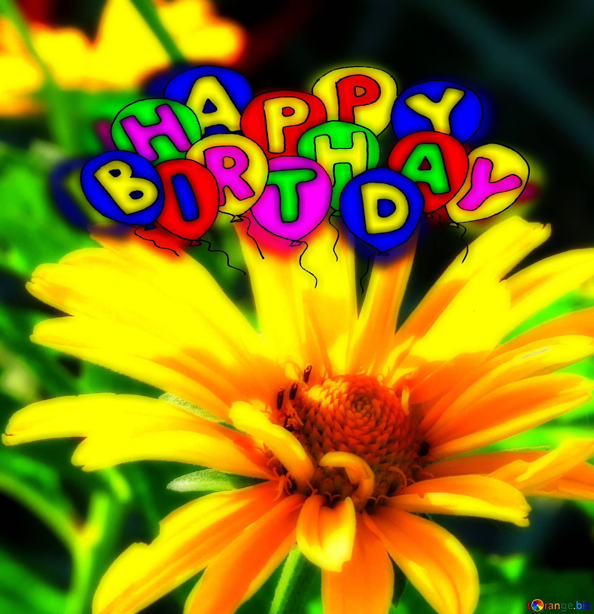Download free picture Yellow flower like daisy Happy birthday. Drawing  cartoon style Air Balloons card Greeting card on CC-BY License ~ Free Image  Stock  ~ fx №213725