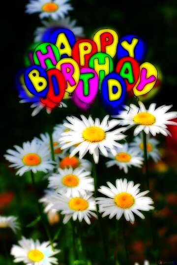 FX №213709 Happy birthday. Drawing cartoon style Air Balloons card Daisy flowers