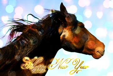 FX №213043 Black Horse portrait Inscription text Happy New Year
