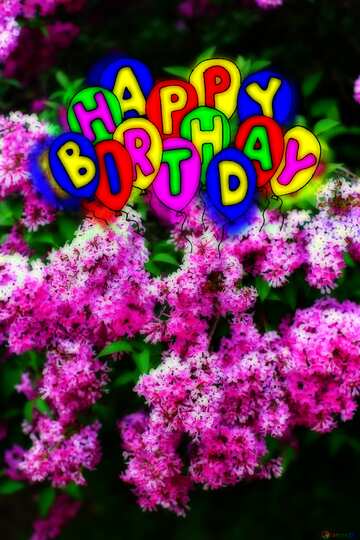 FX №213699 Happy birthday. Drawing cartoon style Air Balloons card Lilac flowering Bush