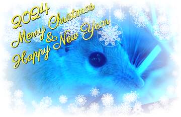 FX №213241 Rat Mouse Christmas Happy New Year 2024