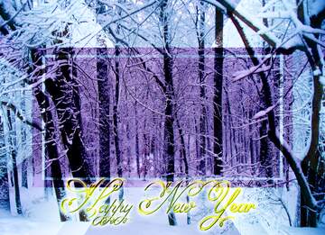 FX №213005 Winter  Forest  Happy New Year