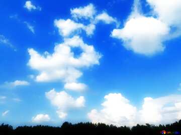 FX №213315 Soft blurred Blue sky above the forest