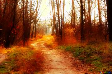FX №213281 Soft blurred Road in forest in autumn