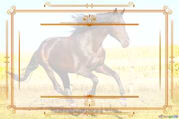 FX №213034 Horse Vintage frame