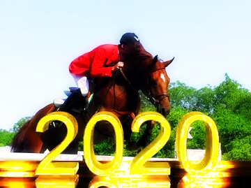 FX №213574 Jumping horse 2020