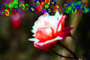 FX №213658 Pink rose happy birthday card