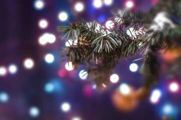 FX №213529 Christmas desktop colours blur frame